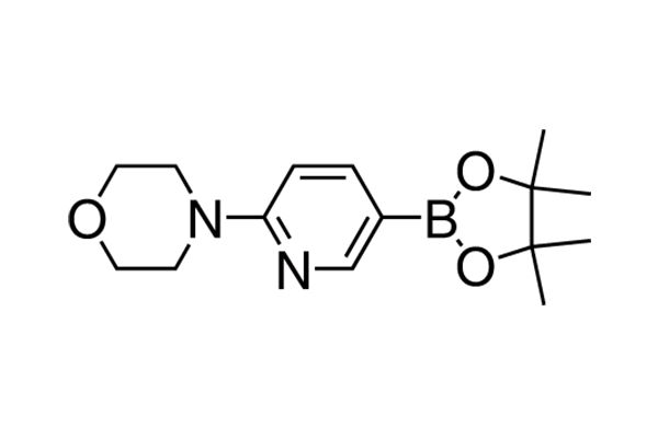 4-[5-(4,4,5,5-Tetramethyl-1,3,2-dioxaborolan-2-yl)pyridin-2-yl]morpholineͼƬ