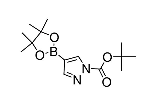 1-BOC-4-(4,4,5,5-Tetramethyl-1,3,2-dioxaborolan-2-yl)pyrazoleͼƬ