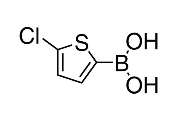 5-Chloro-2-thiopheneboronic acidͼƬ