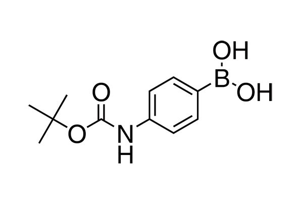 4-(BOC-Amino)phenylboronic acid图片