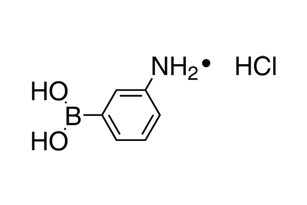 m-Aminophenylboronic acid hydrochlorideͼƬ