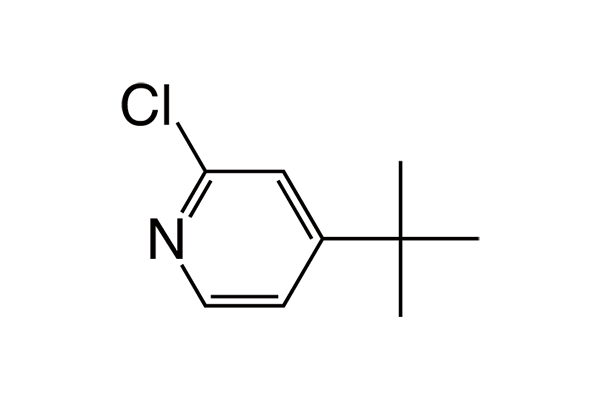 4-tert-Butyl-2-chloropyridineͼƬ