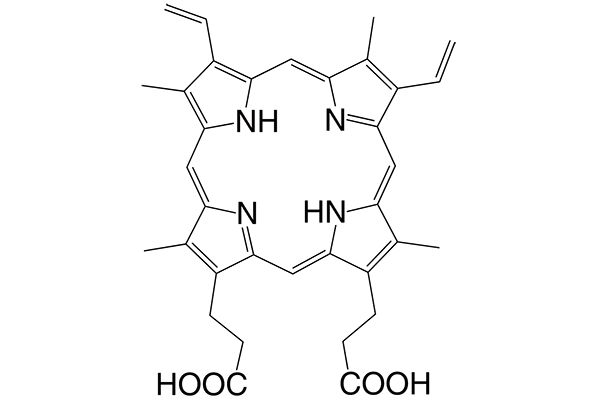 protoporphyrin IXͼƬ