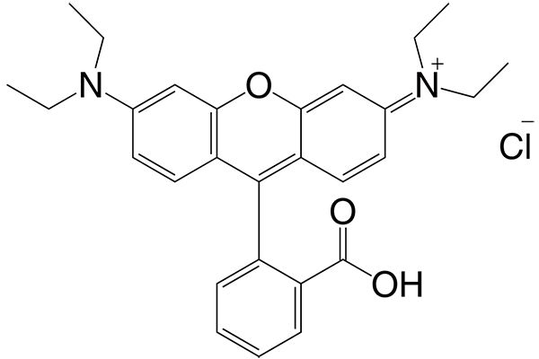 Rhodamine BͼƬ