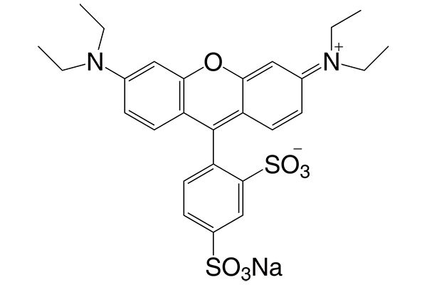 Sulforhodamine B sodium saltͼƬ