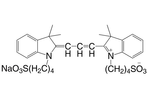 3,3,3',3'-Tetramethyl-1,1'-bis(4-sulfobutyl)indocarbocyanine sodium salt 图片