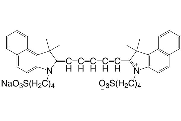 3,3,3',3'-Tetramethyl-1,1'-bis(4-sulfobutyl)benzoindodicarbocyanine sodium salt 图片