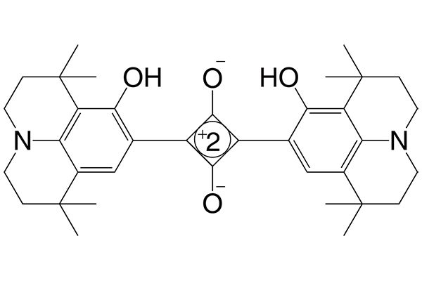 2,4-Bis[8-hydroxy-1,1,7,7-tetramethyljulolidin-9-yl]squaraineͼƬ