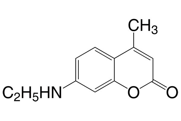 7-(Ethylamino)-4-methylcoumarinͼƬ