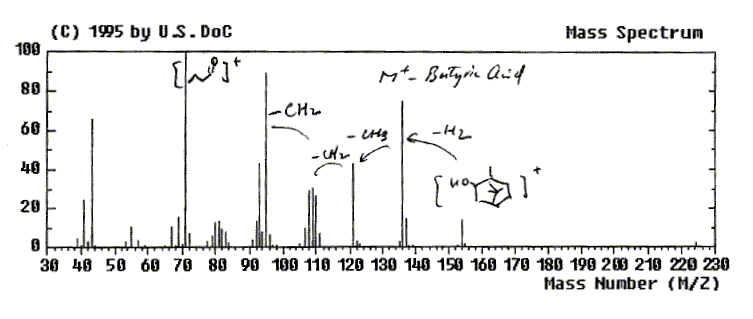 Butyric acid, 2-bornyl esterͼ1