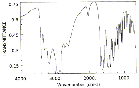 Glutamic acid-5-amideͼ1