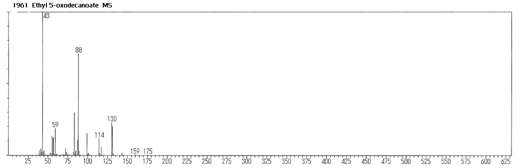 Decanoic acid, 5-oxo-, ethyl esterͼ1