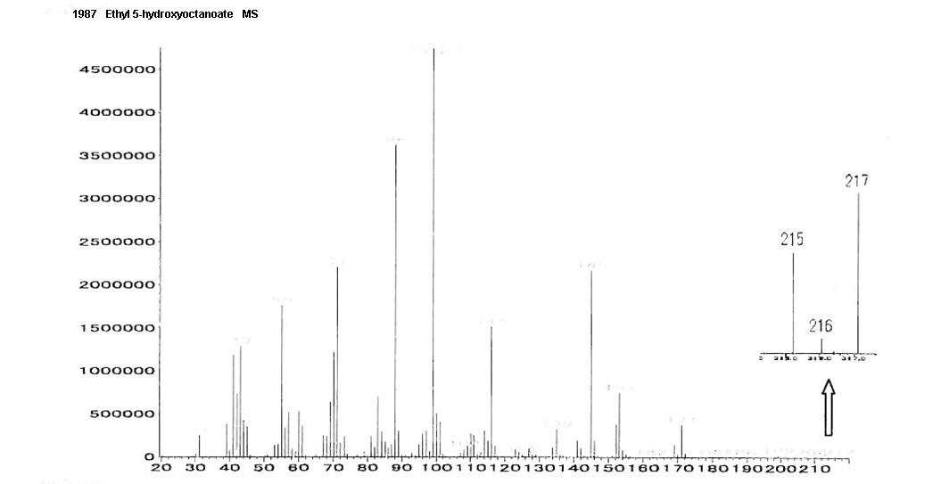 Octanoic acid, 5-hydroxy-, ethyl esterͼ1