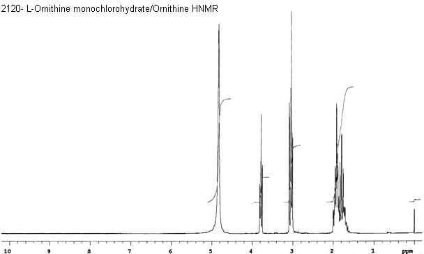 L-Ornithine monochlorohydrateͼ1