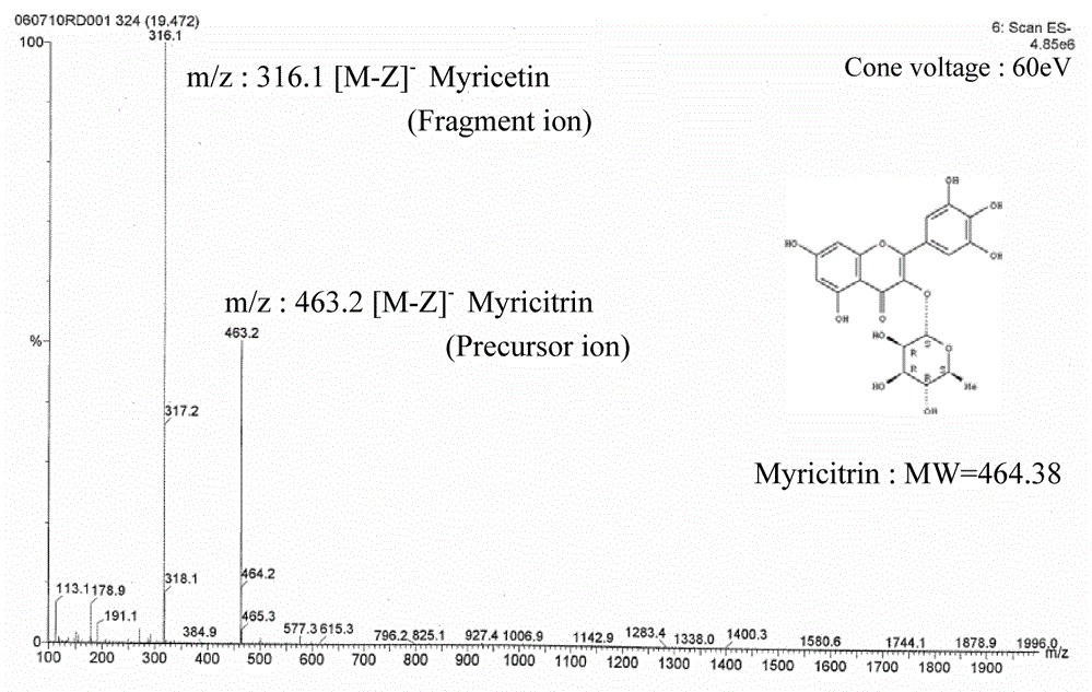 Myricetin 3-rhamnosideͼ2